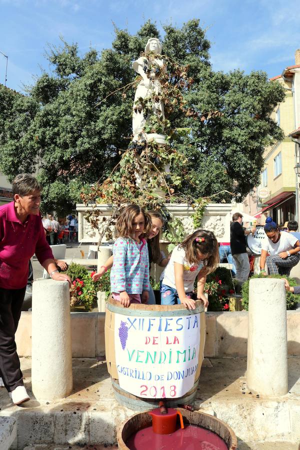 Fotos: Fiesta de la venidimia en Castrillo de Don Juan