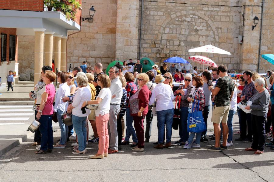 Fotos: Fiesta de la venidimia en Castrillo de Don Juan