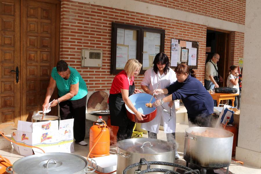 Fotos: Fiesta de la venidimia en Castrillo de Don Juan