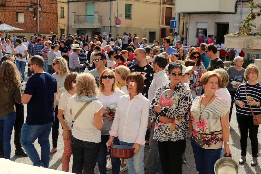 Fotos: Fiesta de la venidimia en Castrillo de Don Juan