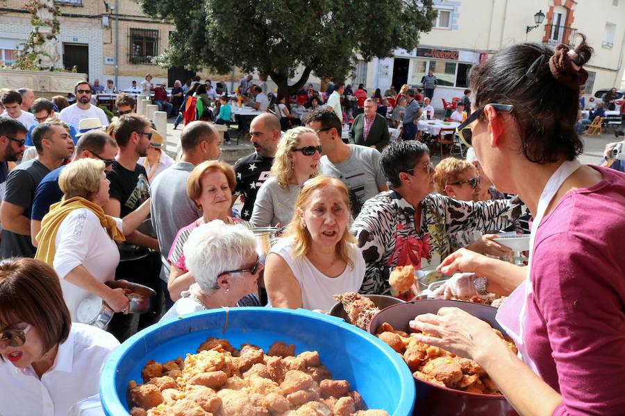 Fotos: Fiesta de la venidimia en Castrillo de Don Juan