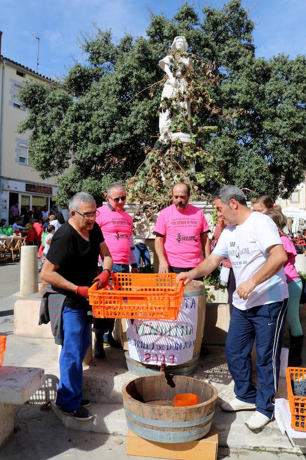 Fotos: Fiesta de la venidimia en Castrillo de Don Juan