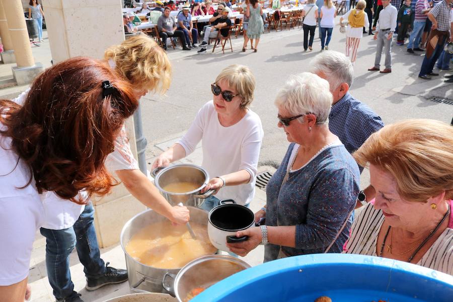 Fotos: Fiesta de la venidimia en Castrillo de Don Juan