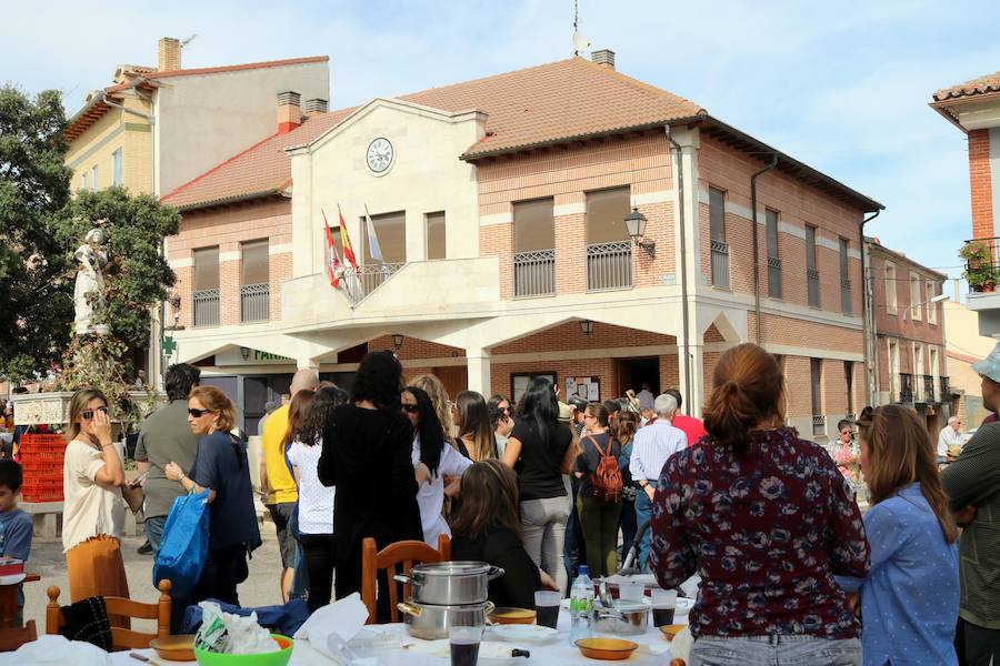 Fotos: Fiesta de la venidimia en Castrillo de Don Juan