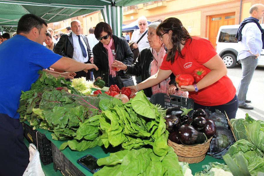 Fotos: Feria del Garbanzo de Valseca