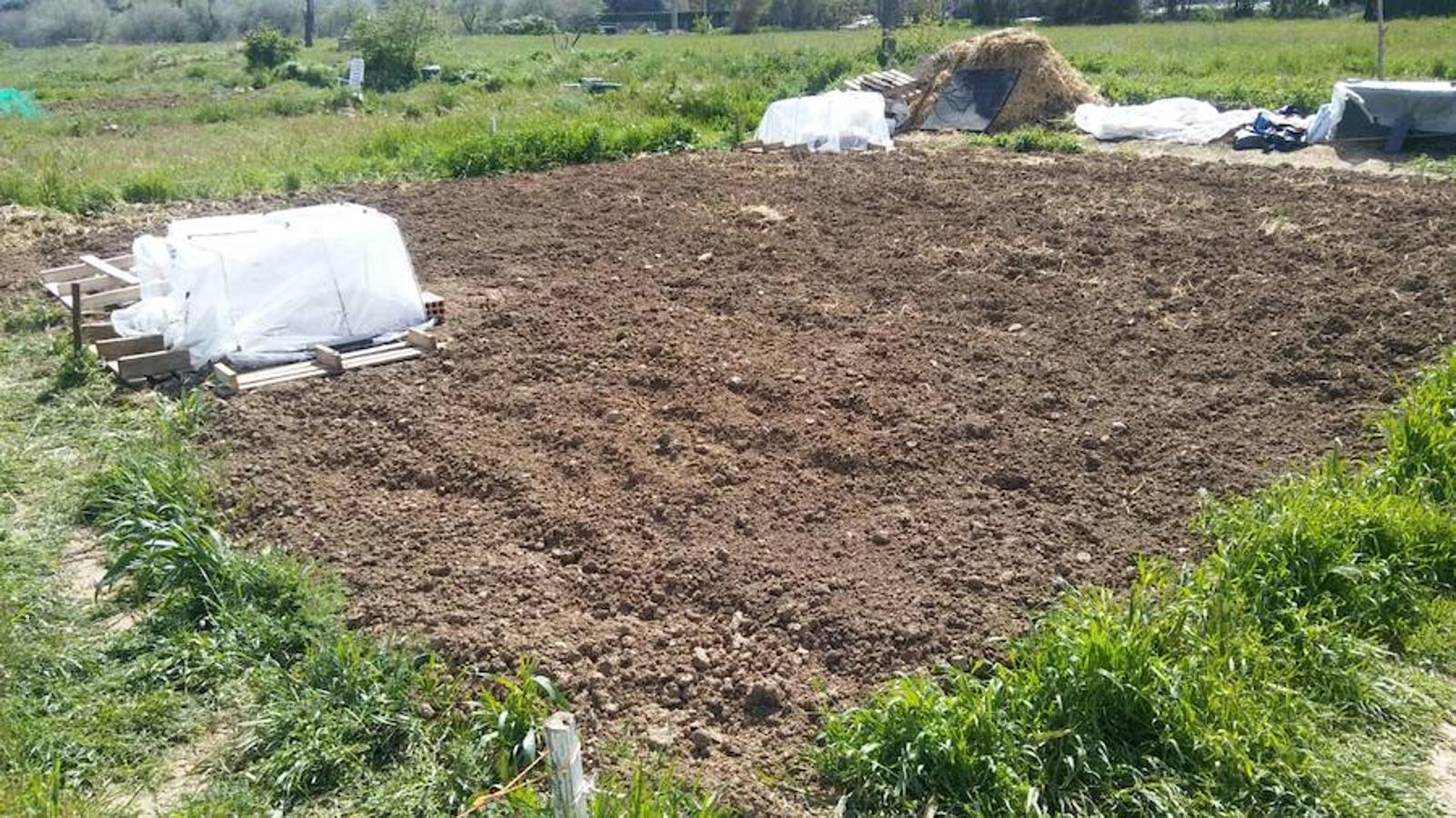 La calabaza de 600 kilos cultivada por el palentino Sergio García logra el primer puesto en el certamen de calabazas gigantes de Igüeña.