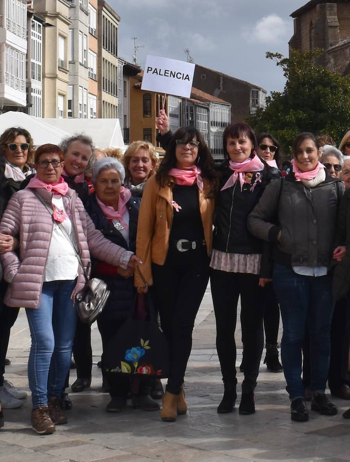 Fotos: Encuentro regional de cáncer de mama en Aguilar de Campoo