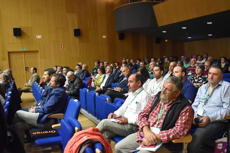 Fotos: Congreso sobre despoblación en Aguilar de Campoo