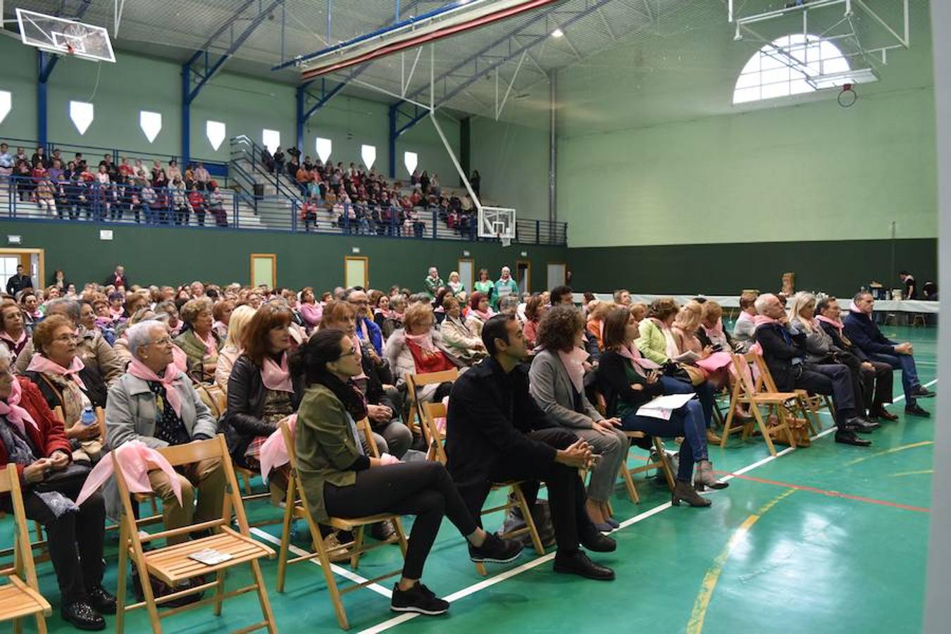 Fotos: Encuentro regional de cáncer de mama en Aguilar de Campoo
