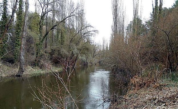 Orilla de uno de los tramos del río Cega a su paso por Cuéllar.