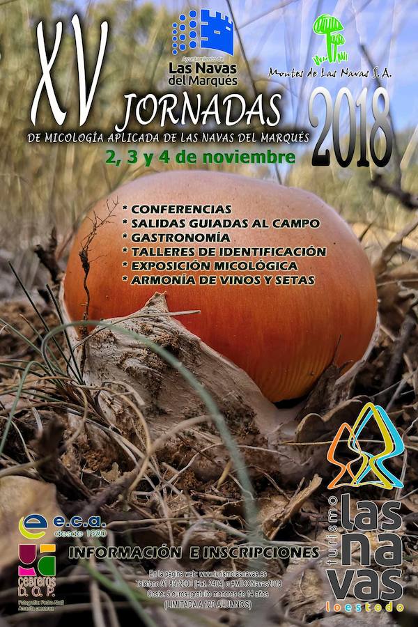 Micología a la mesa