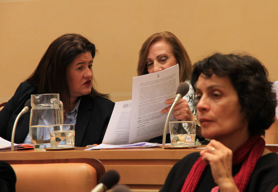 Fotos: Pleno del Ayuntamiento