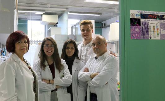 Ginesa García-Rostán, Sara Gil, Miriam Mayal, Javier Estébanez y Joaquín Fra. 