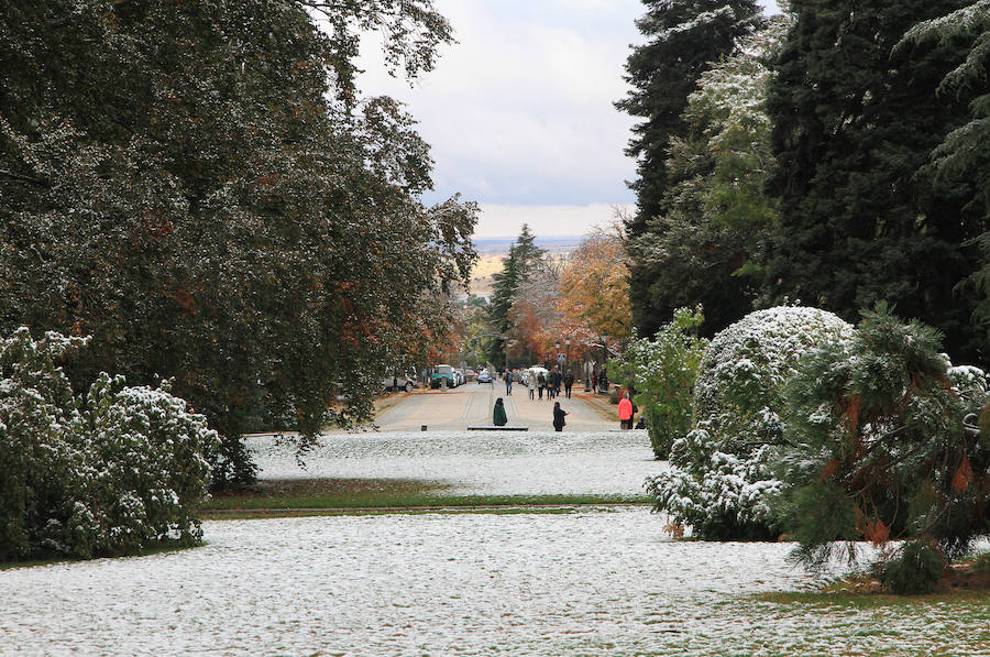 Fotos: Primeras nieves en La Granja