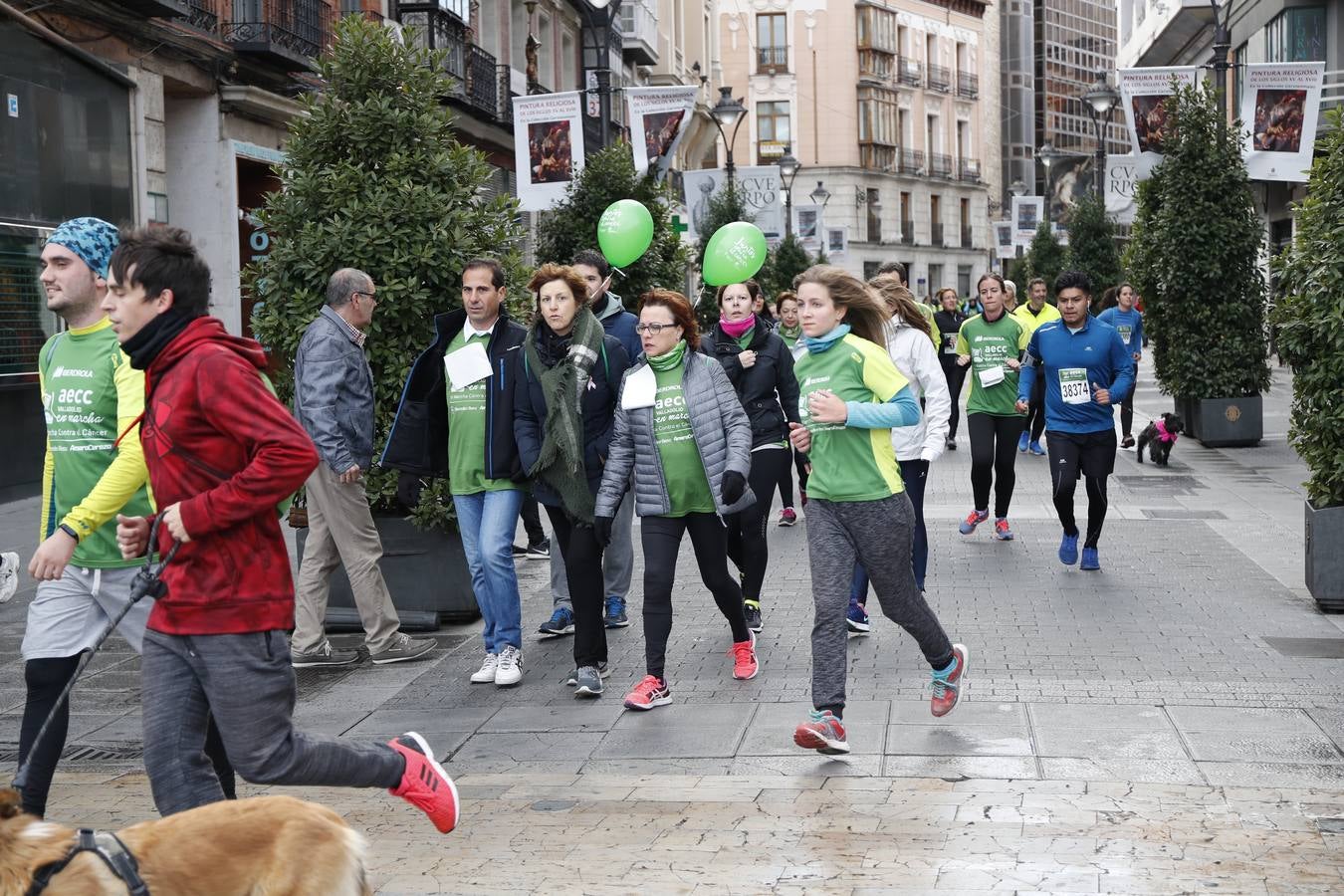 Fotos: VII Marcha contra el Cáncer en Valladolid (2)