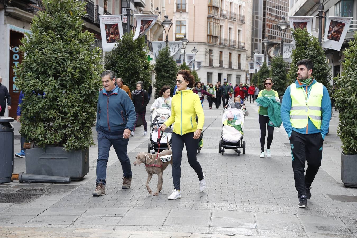 Fotos: VII Marcha contra el Cáncer en Valladolid (2)