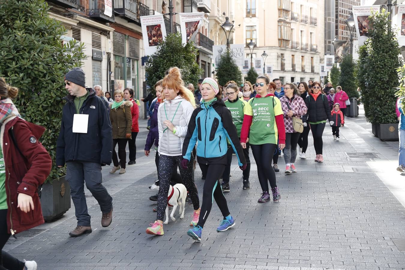 Fotos: VII Marcha contra el Cáncer en Valladolid (2)