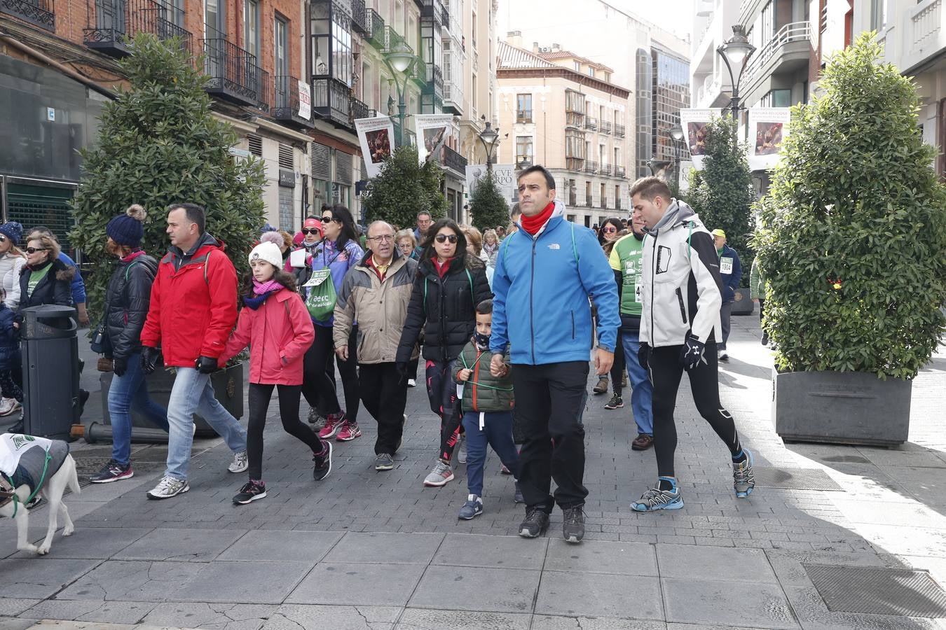 Fotos: VII Marcha contra el Cáncer en Valladolid (2)