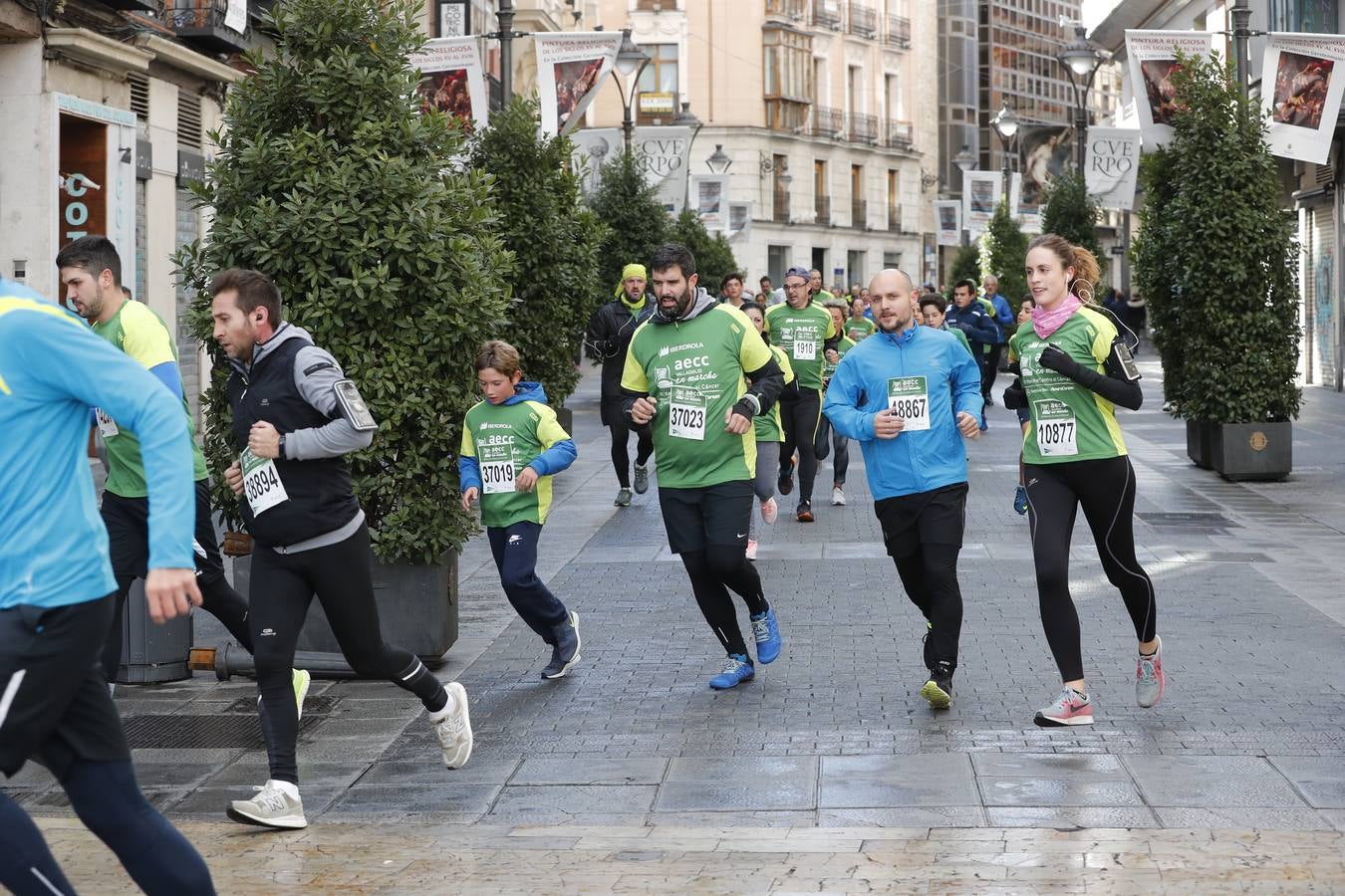 Fotos: Marcha contra el Cáncer en Valladolid (1)