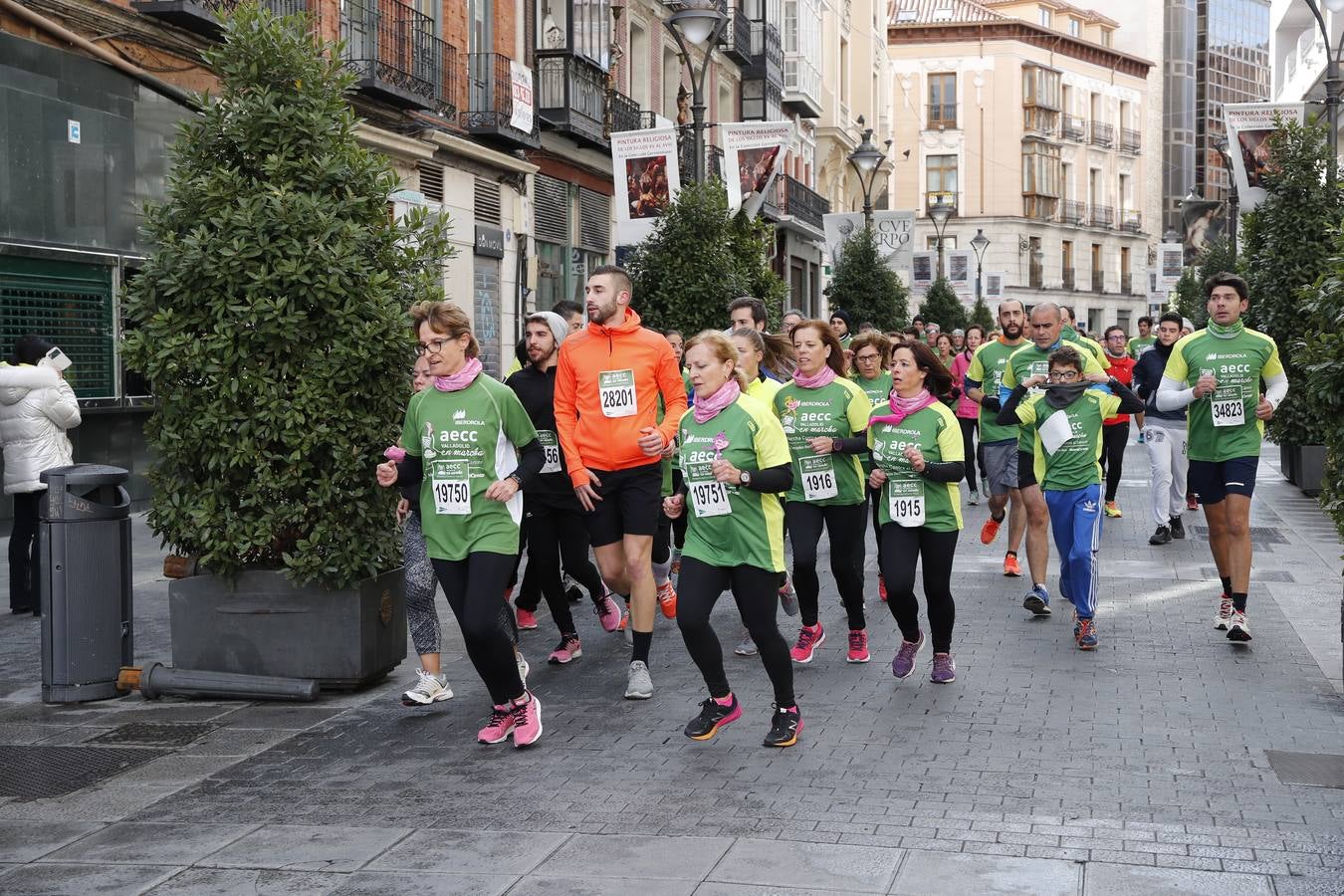 Fotos: Marcha contra el Cáncer en Valladolid (1)