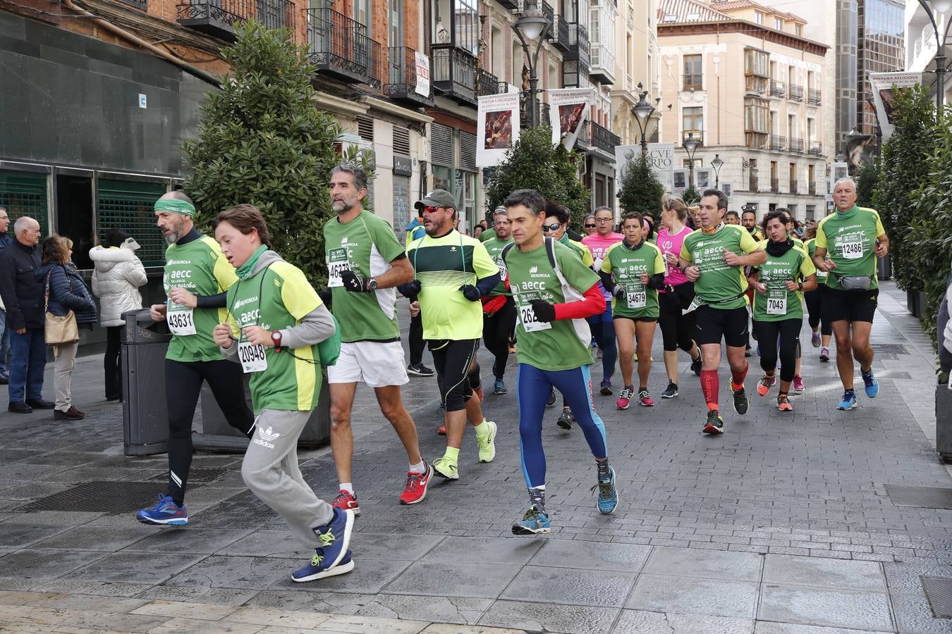 Fotos: Marcha contra el Cáncer en Valladolid (1)