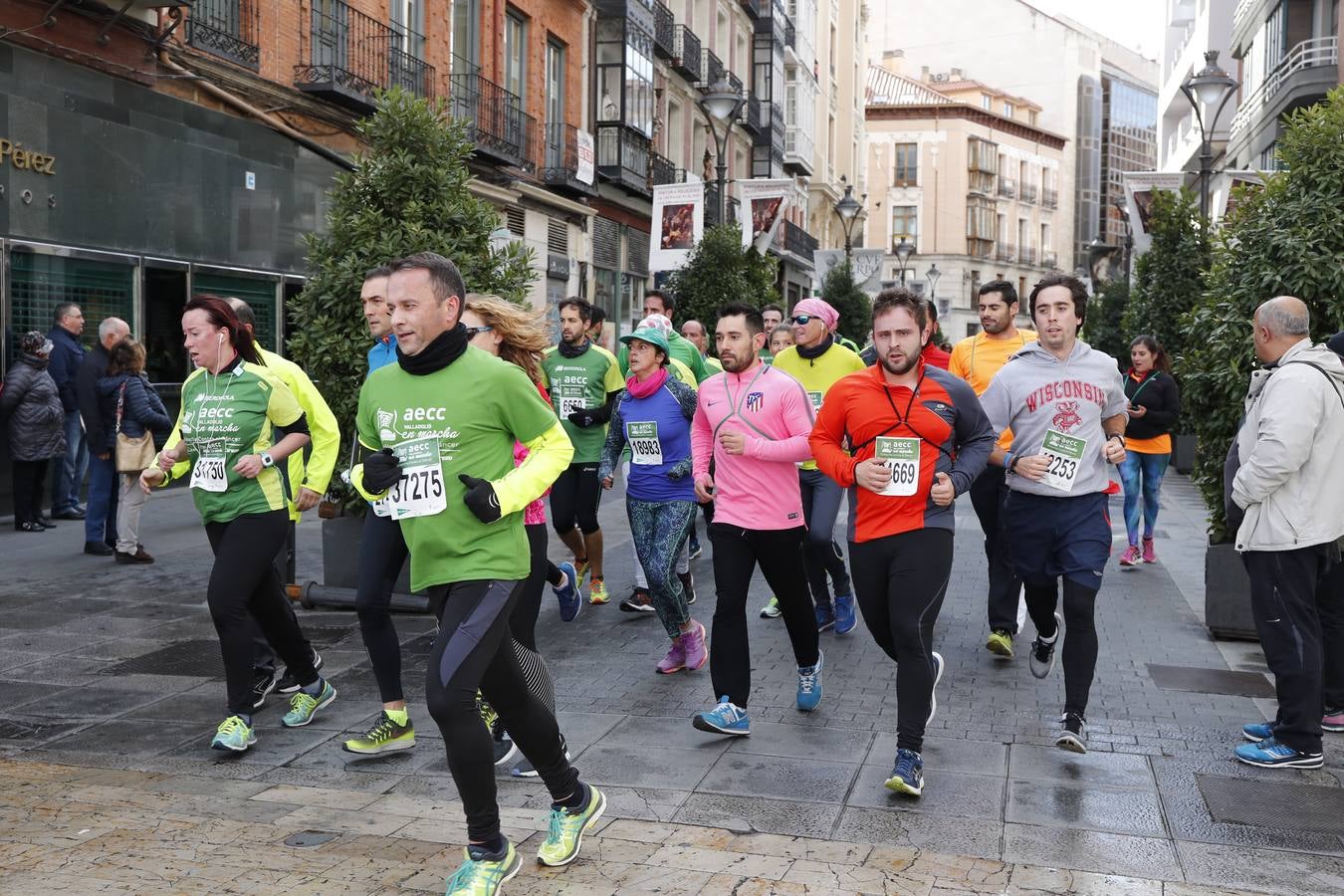 Fotos: Marcha contra el Cáncer en Valladolid (1)