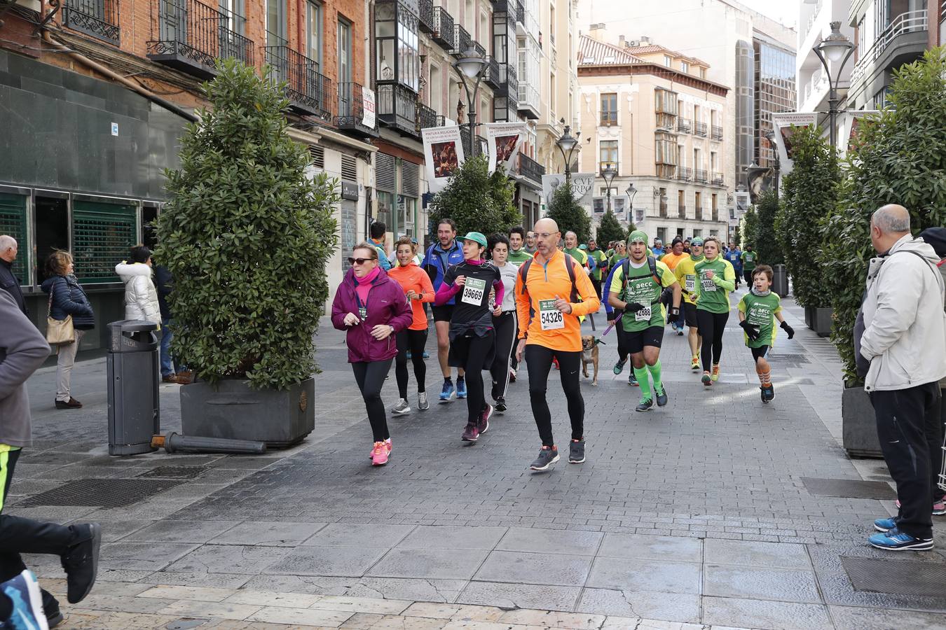 Fotos: Marcha contra el Cáncer en Valladolid (1)