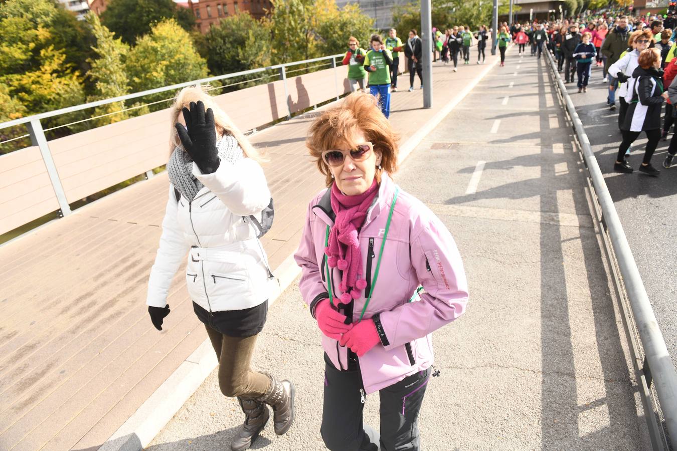 Fotos: VII Marcha contra el Cáncer en Valladolid (3)