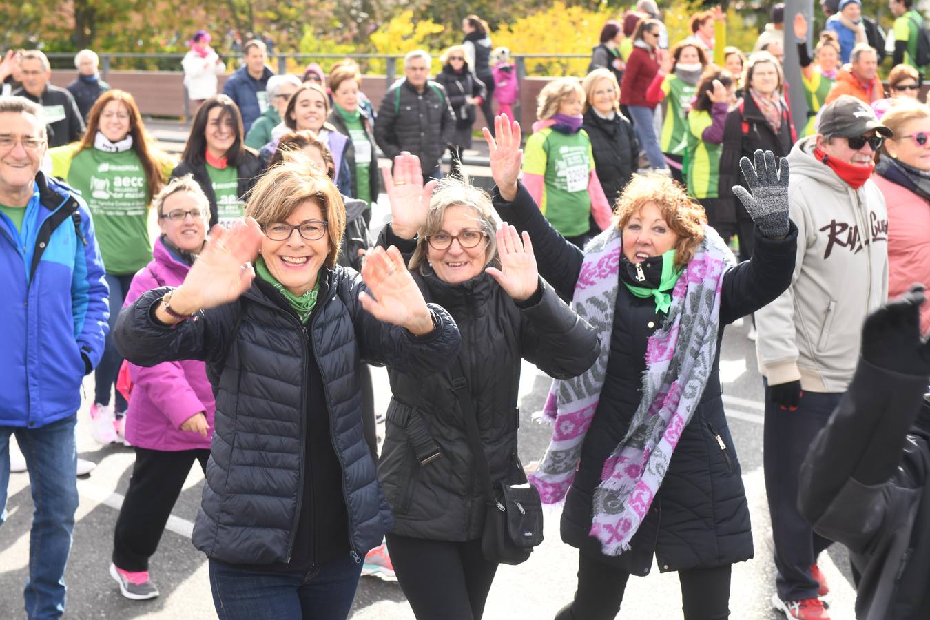 Fotos: VII Marcha contra el Cáncer en Valladolid (3)