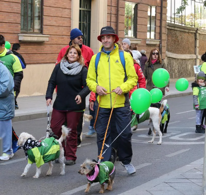 Fotos: VII Marcha contra el cáncer (7)