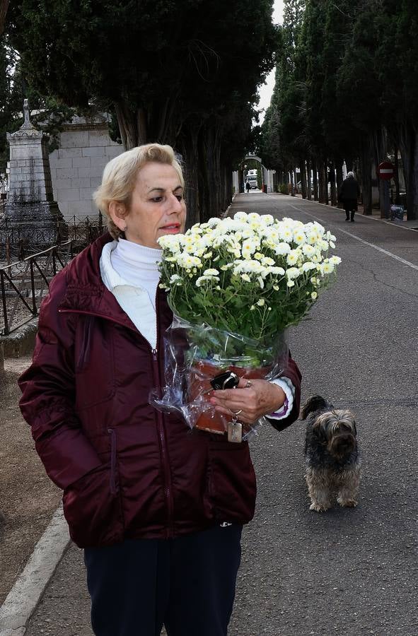 Fotos: Preparativos para el Día de Todos los Santos en el cementerio de El Carmen de Valladolid