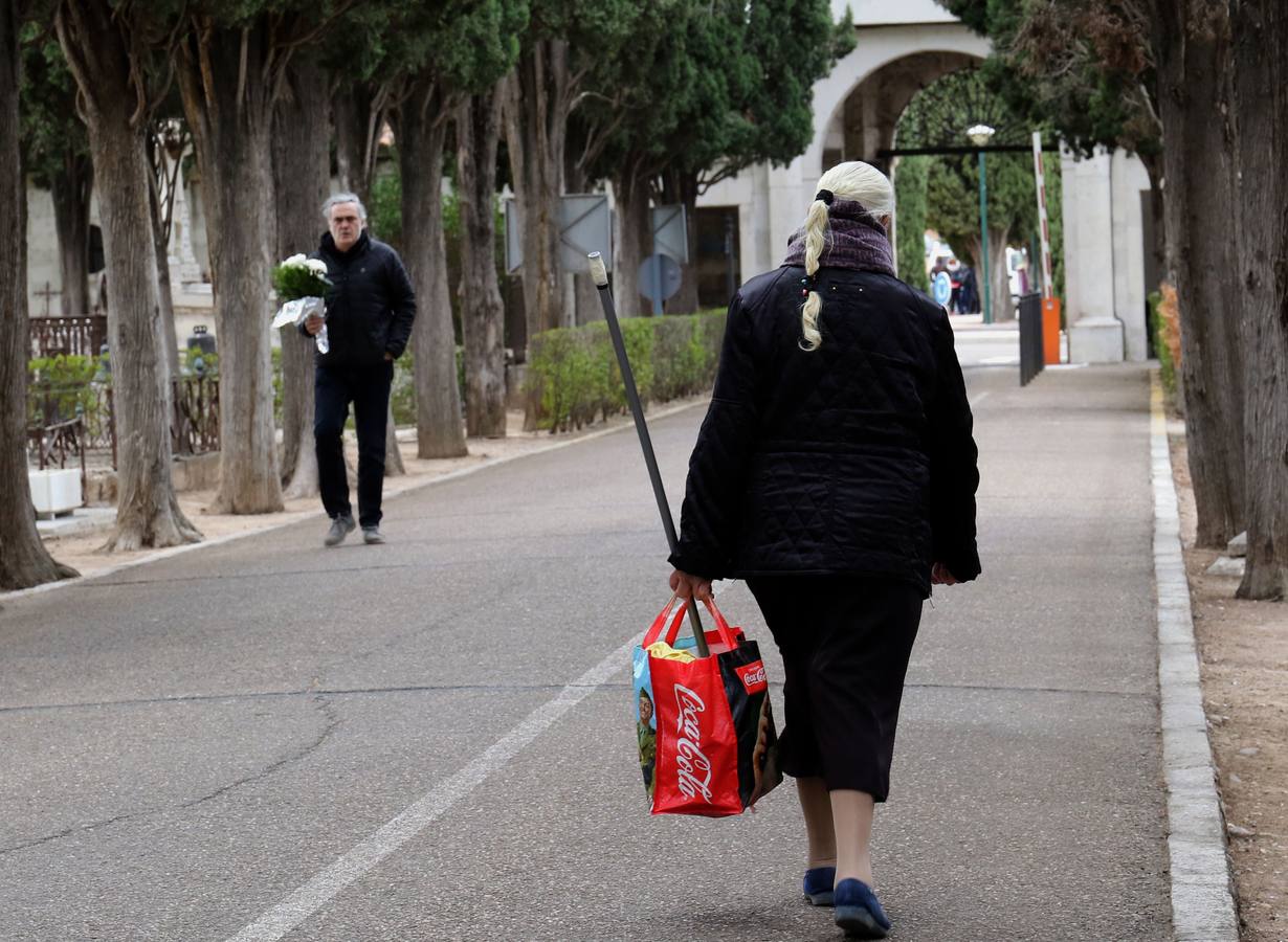 Fotos: Preparativos para el Día de Todos los Santos en el cementerio de El Carmen de Valladolid