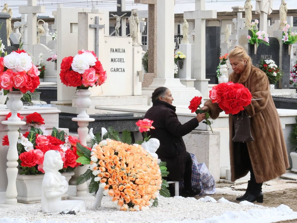 Fotos: Día de Todos los Santos en el cementerio de El Carmen de Valladolid