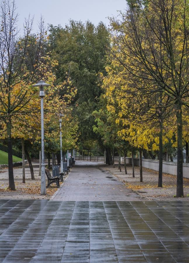 Fotos: El otoño viste a Valladolid