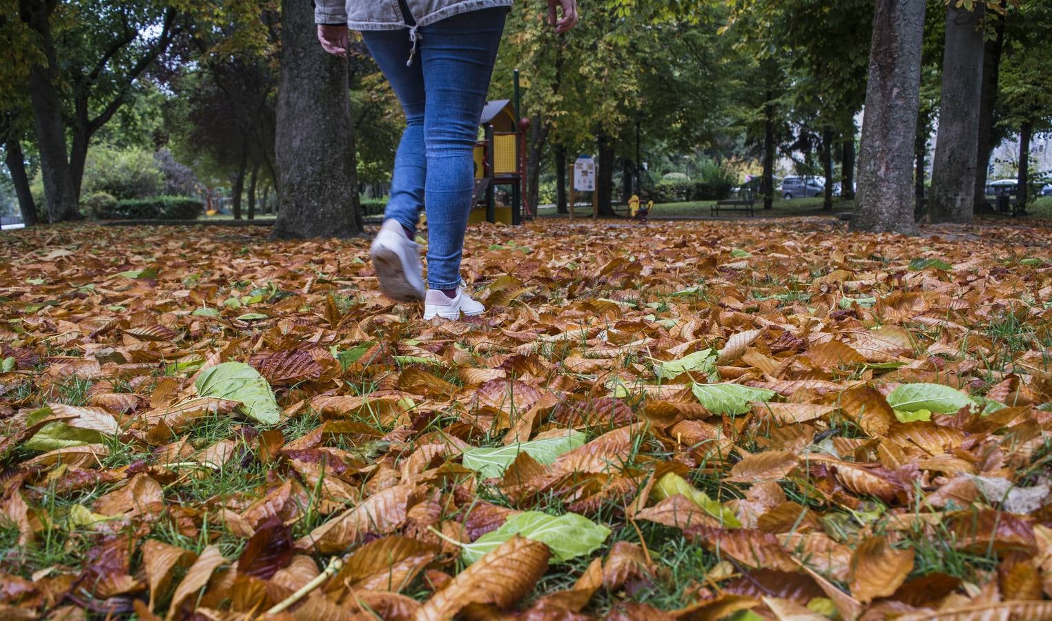 Fotos: El otoño viste a Valladolid
