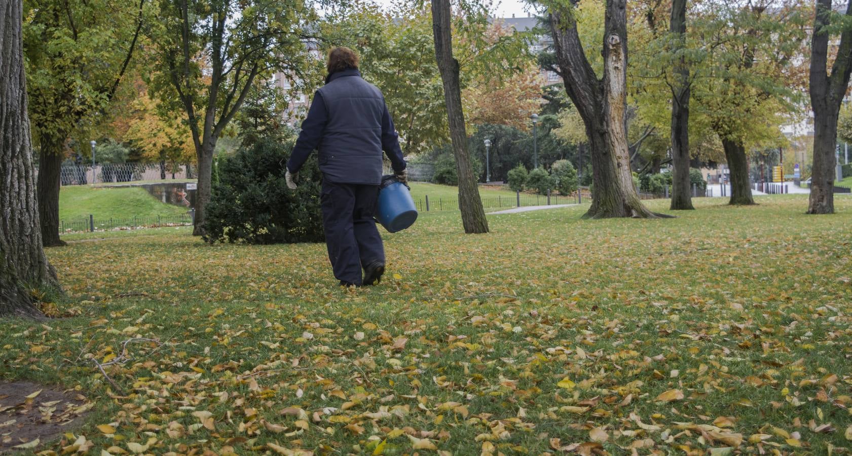 Fotos: El otoño viste a Valladolid