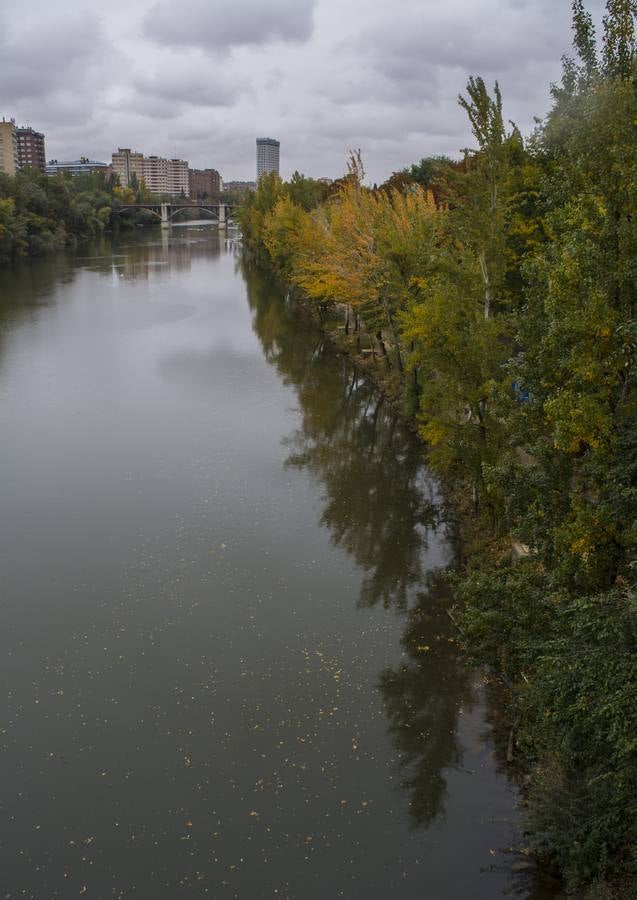 Fotos: El otoño viste a Valladolid