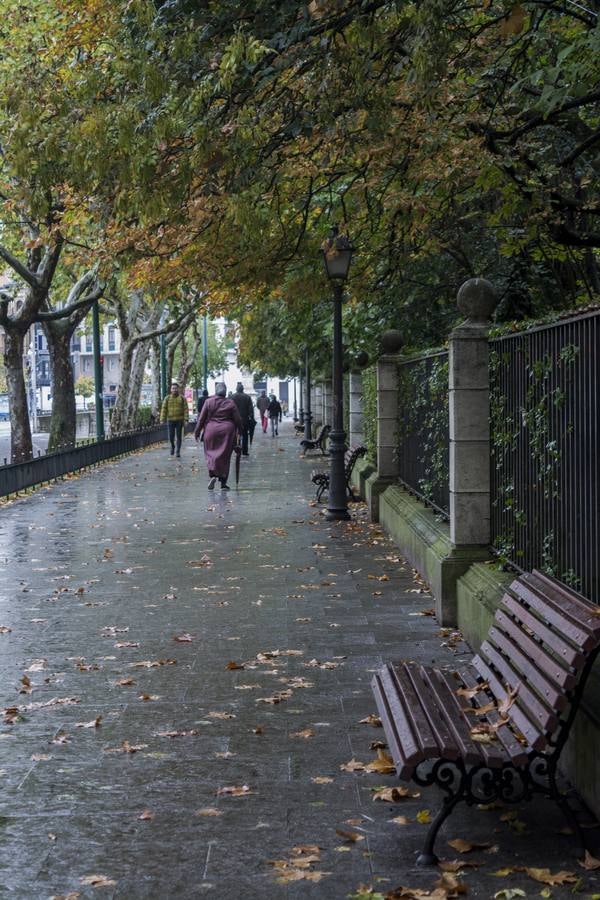 Fotos: El otoño viste a Valladolid