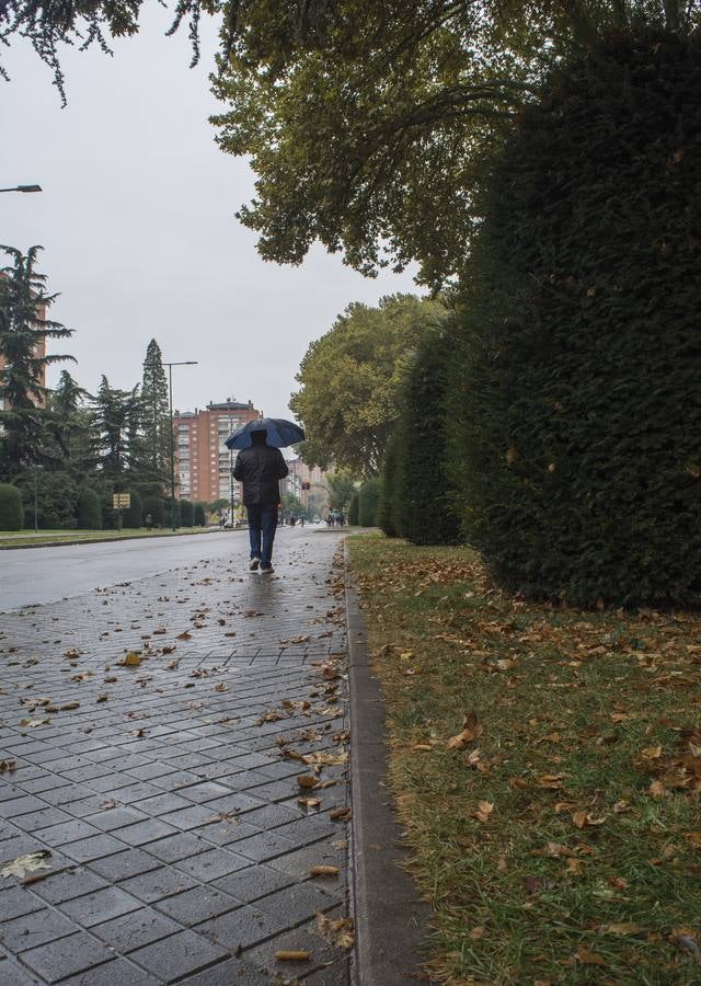 Fotos: El otoño viste a Valladolid