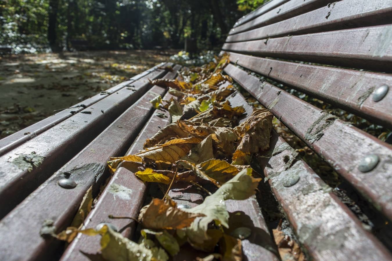 Fotos: El otoño viste a Valladolid