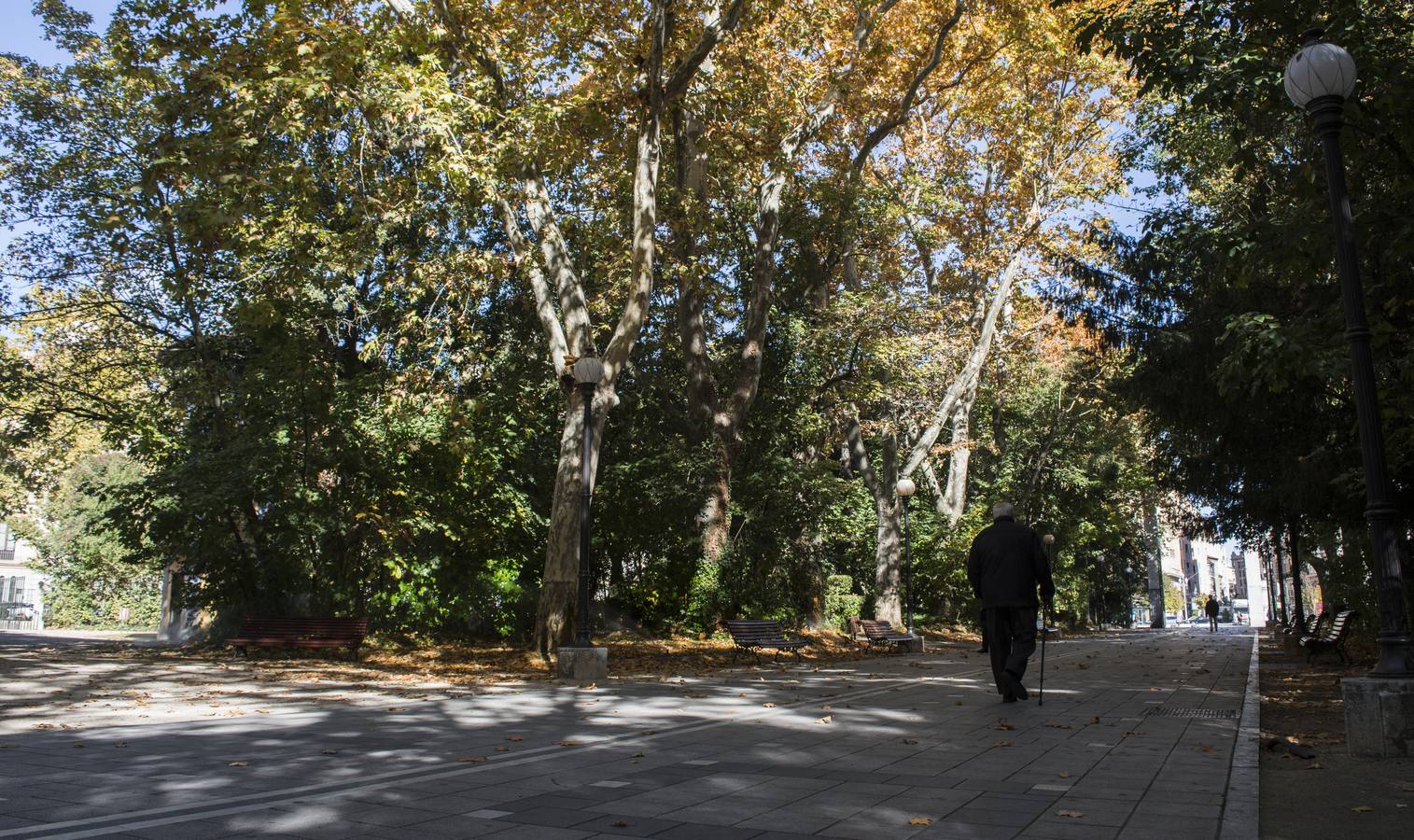 Fotos: El otoño viste a Valladolid