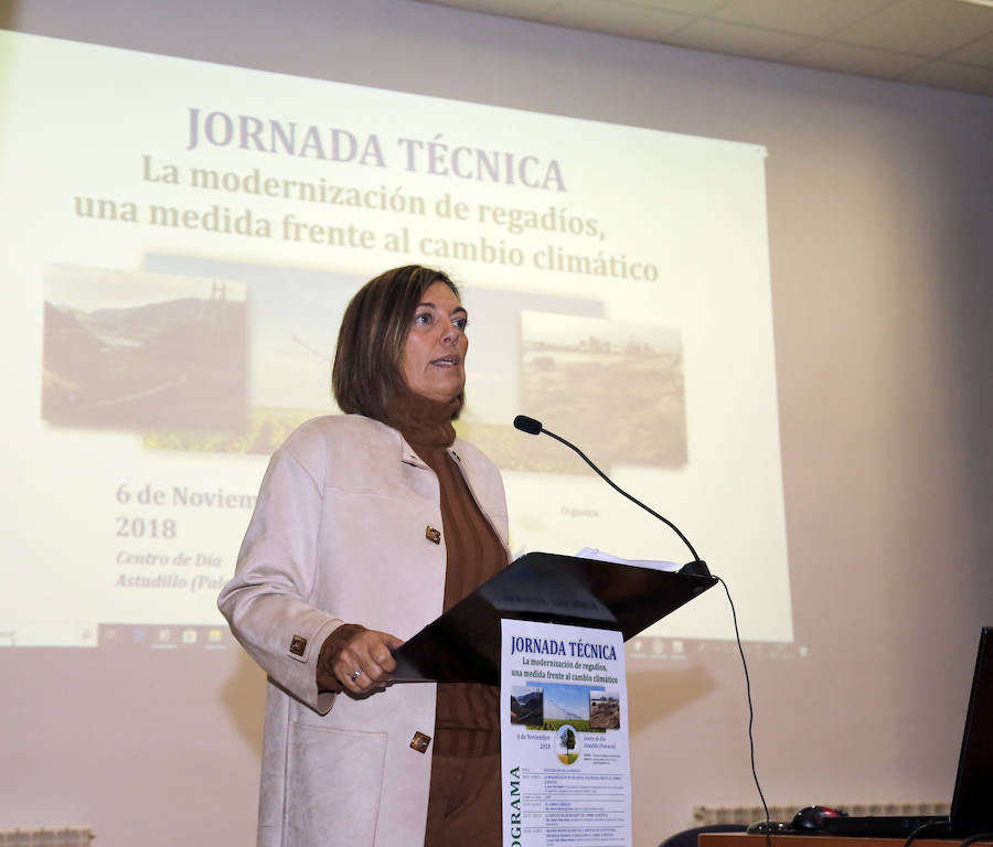 Fotos: Jornada sobre la modernización de riegos en Astudillo