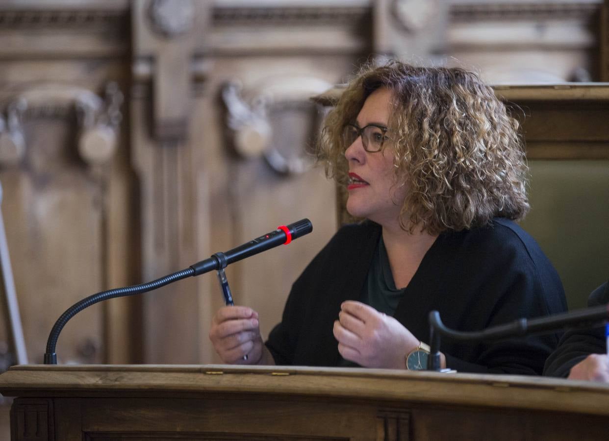 Fotos: Pleno en el Ayuntamiento de Valladolid