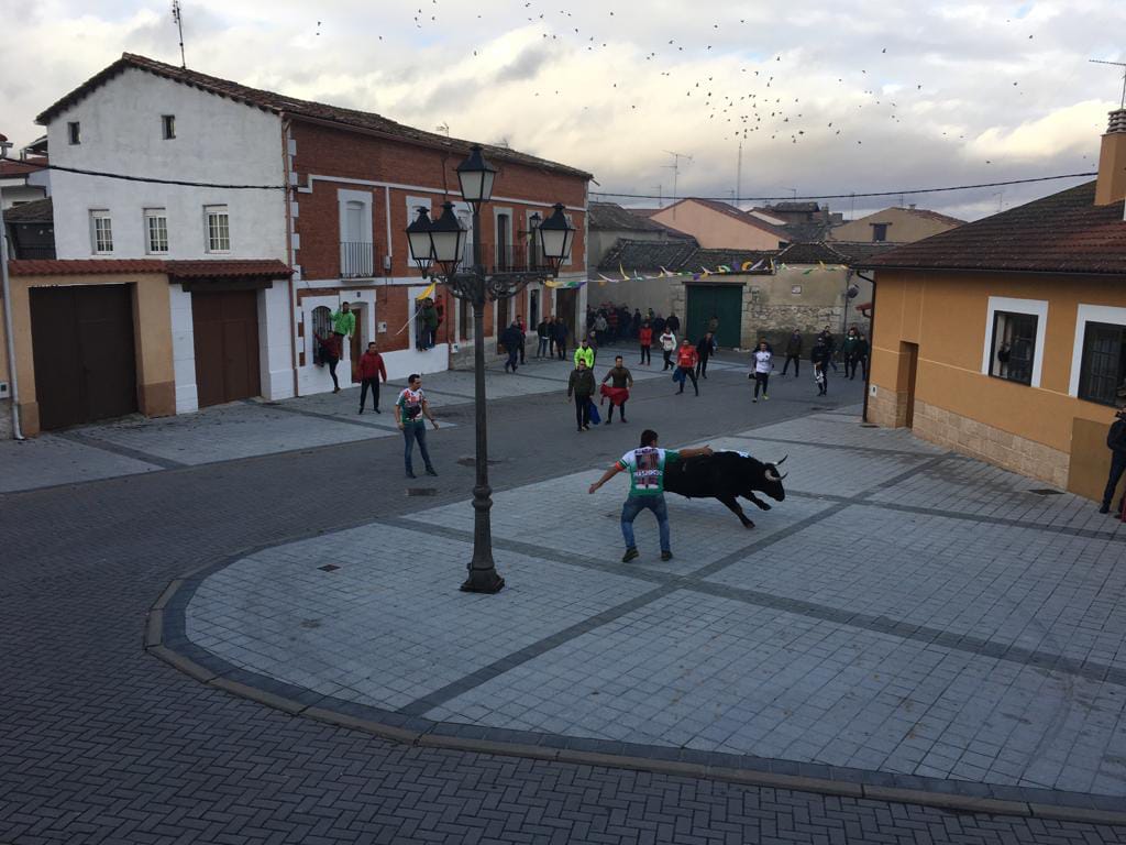  Traspinedo recibió este sábado a cientos de personas para asistir a la suelta de dos novillos de las ganaderías de Ustárroz y Jara del Retamar 