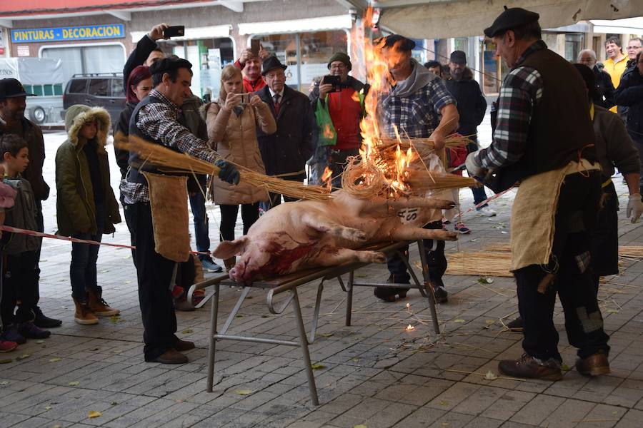 Fotos: Matanza en Guardo