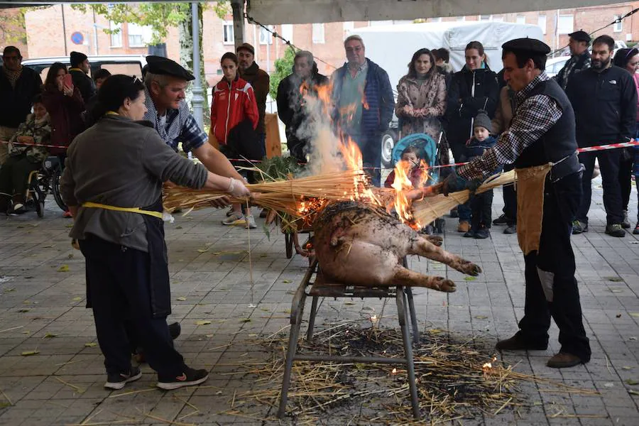 Fotos: Matanza en Guardo