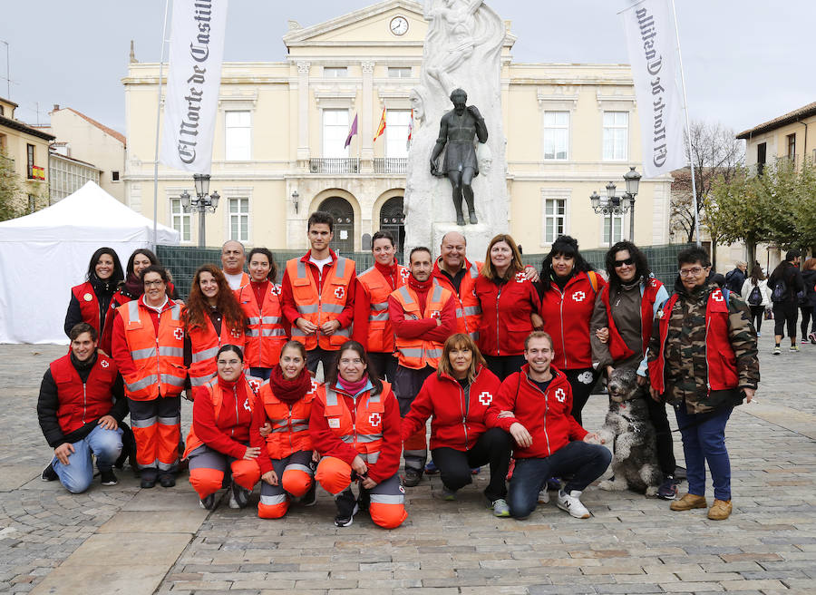 Fotos: Carrera-Marcha de El Norte de Castilla contra la violencia machista ( 2 )