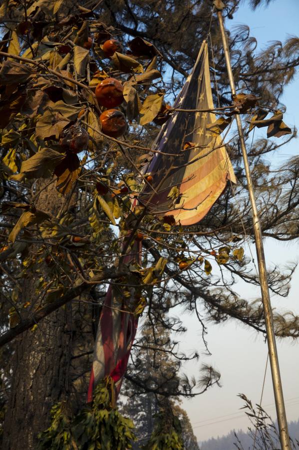 Los incendios forestales que desde el jueves arrasan California, se encuentran entre los más letales en Estados Unidos desde principios de los 90