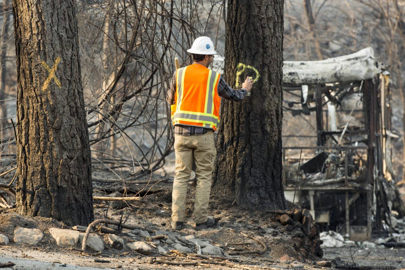 Los incendios forestales que desde el jueves arrasan California, se encuentran entre los más letales en Estados Unidos desde principios de los 90