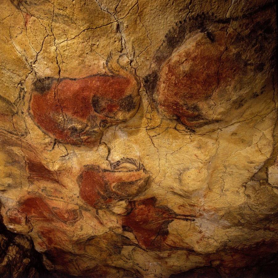 Pinturas rupestres de la Cueva de Altamira.
